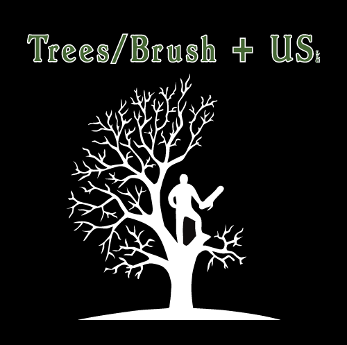 Trees / Brush + US logo